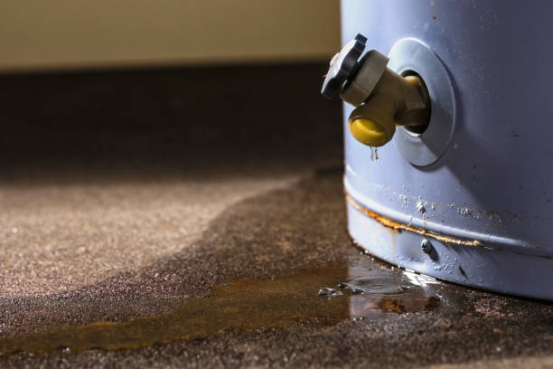  Dassel, MN Water damage restoration Pros