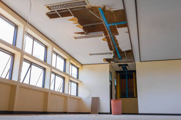 Best Flood restoration services  in Dassel, MN