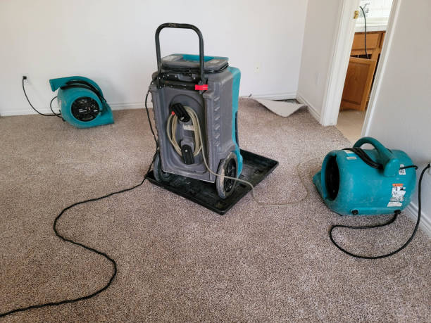 Best Residential water damage restoration  in Dassel, MN
