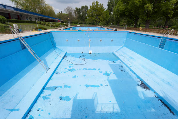 Best Ceiling water damage repair  in Dassel, MN