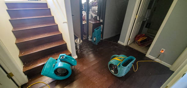 Best 24/7 water damage repair  in Dassel, MN