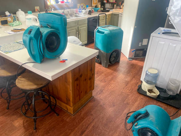 Best Professional water damage repair  in Dassel, MN