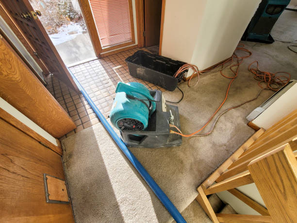 Best Water damage restoration insurance claims  in Dassel, MN