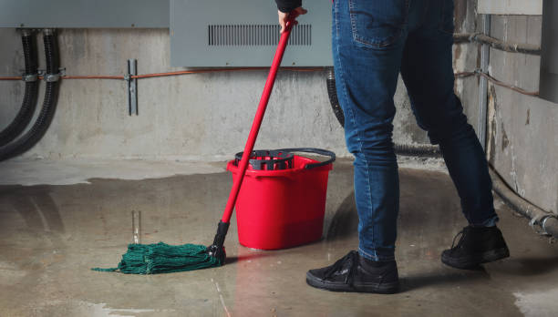 Water damage restoration insurance claims in MN