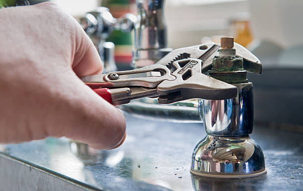 Best Sewage cleanup and water damage restoration  in Dassel, MN