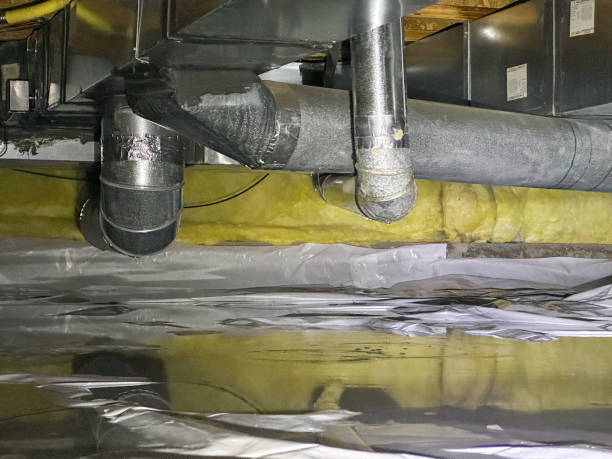 Best Mold removal after water damage  in Dassel, MN