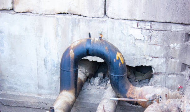 Best Carpet water damage restoration  in Dassel, MN