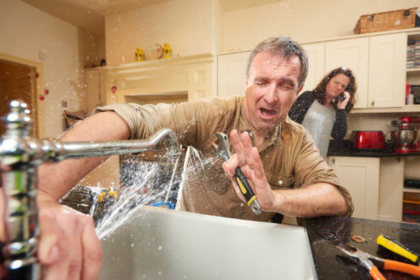 Best Flooded house restoration  in Dassel, MN